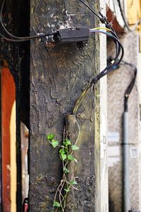 Close-up of metal fence against wall