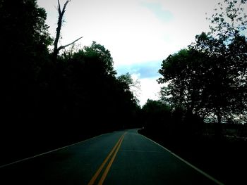Empty road along trees