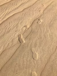 High angle view of footprints on sand at beach