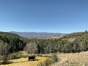 Scenic view of landscape against clear sky