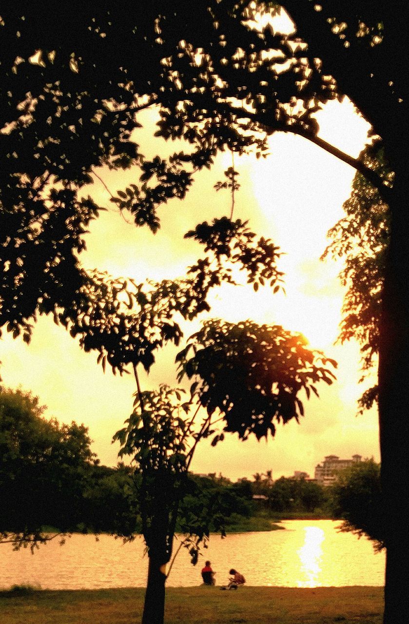 tree, water, lake, tranquility, tranquil scene, scenics, sunset, reflection, branch, togetherness, nature, beauty in nature, sunny, growth, sky, park - man made space, sun, non-urban scene, sunbeam, park, day, outdoors, standing water, remote