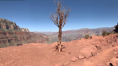 Scenic view of landscape against clear sky