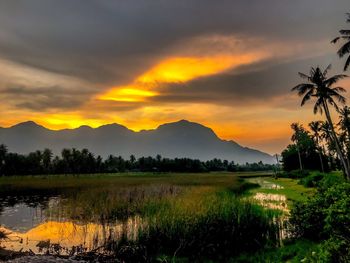 Scenic view of field against sky during sunset