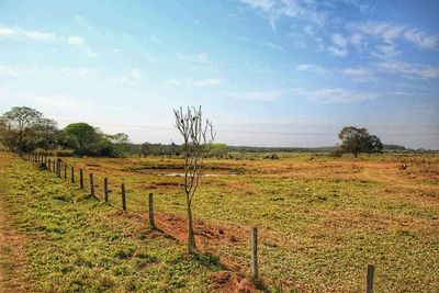 Fence on grassy field