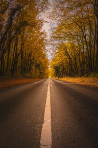 Empty road amidst trees in forest during autumn