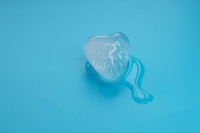 Close-up of jellyfish against blue background