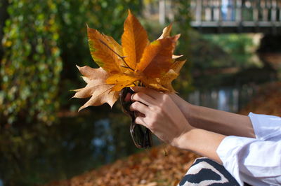 Midsection of woman holding maple leaves during autumn