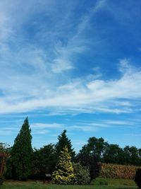 Scenic view of field against cloudy sky