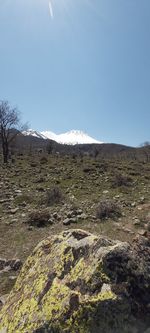 Scenic view of landscape against clear sky