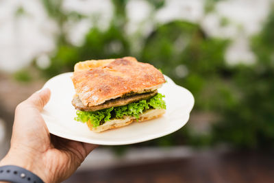 Cropped hand of person holding burger