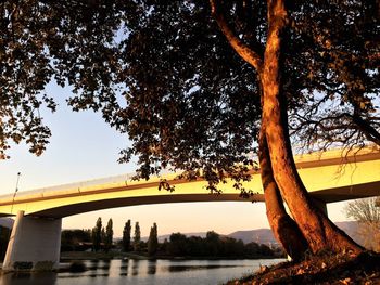 Low angle view of bridge over river against sky