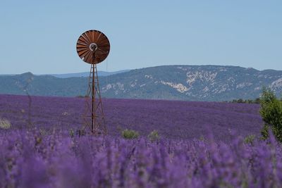 Windmill on lavender field against clear sky