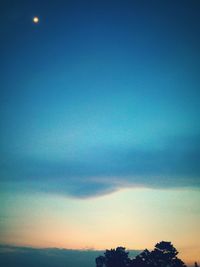 Low angle view of silhouette trees against sky