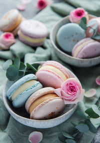 Beautiful colorful tasty macaroons and pink roses on a concrete background