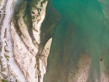 High angle view of leaf on beach