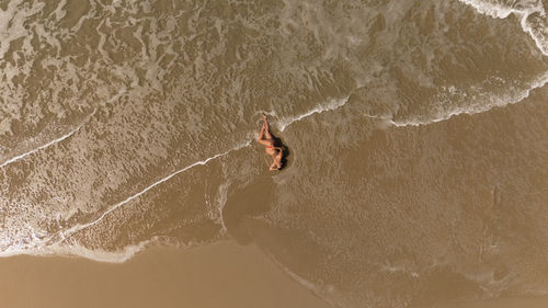 High angle view of man swimming in sea