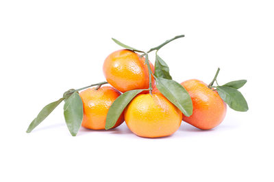 Close-up of orange fruit against white background