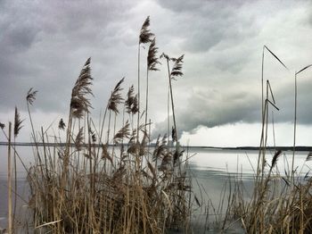 View of landscape against cloudy sky