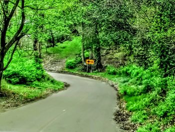 Road amidst trees in forest