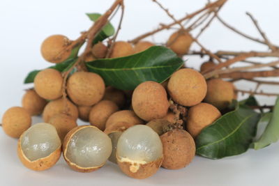 Close-up of fruits and plants