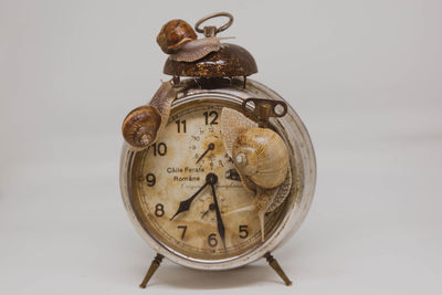 Alarm clock and snails