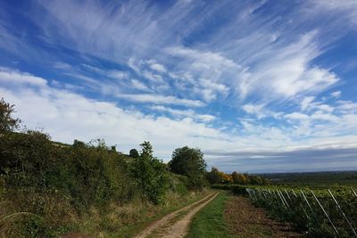 Road amidst trees against sky