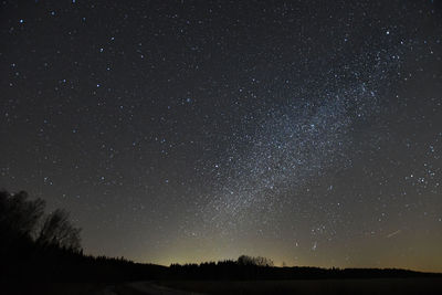 Silhouette trees against star field at night