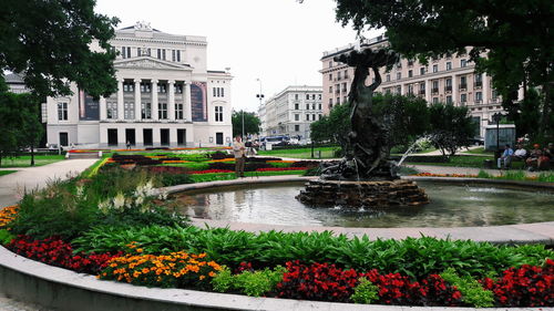 Plants growing in garden