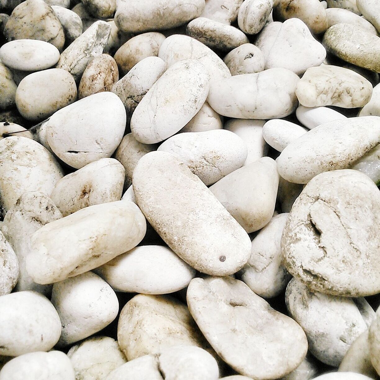 full frame, backgrounds, abundance, large group of objects, pebble, close-up, heap, still life, food, food and drink, high angle view, textured, stone - object, no people, freshness, nature, indoors, healthy eating, detail, stack