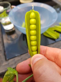 Midsection of person holding vegetables