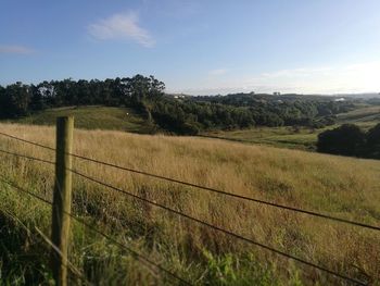 Scenic view of field against sky