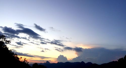 Silhouette of trees against sky at sunset