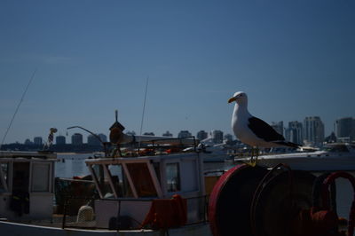 Bird perching on built structure against clear sky