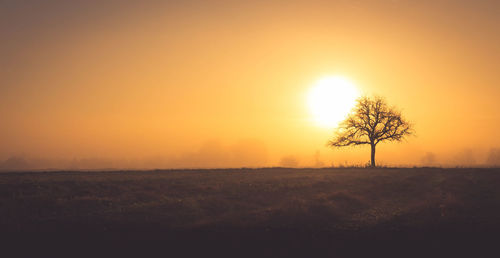 Scenic view of landscape at sunset