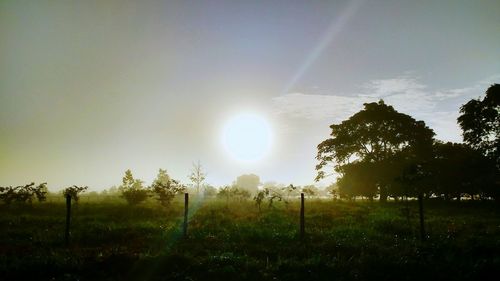 Scenic view of grassy field against sky