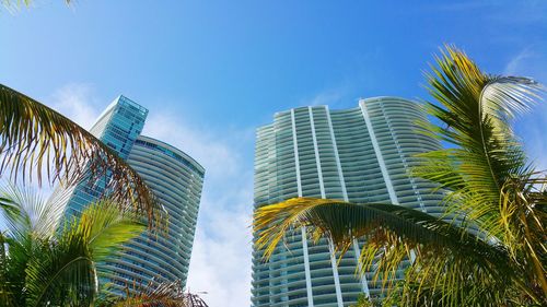 Low angle view of coconut palm trees by modern buildings against sky