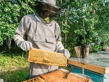 Rear view of man working at farm