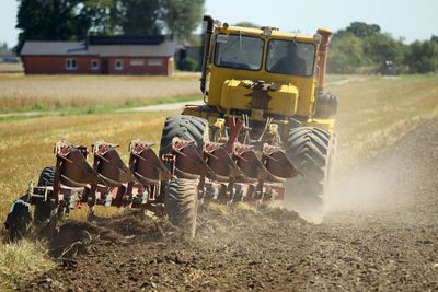 People working on field