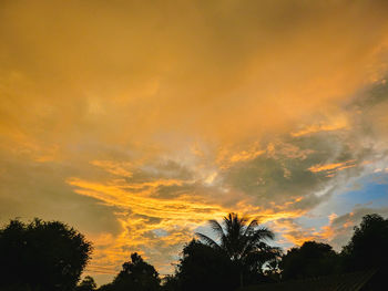 Low angle view of silhouette trees against orange sky