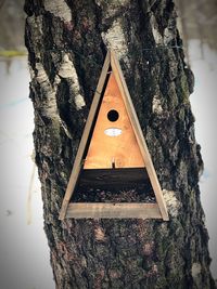 Close-up of birdhouse on tree trunk