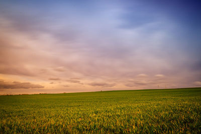 Scenic view of field against sky during sunset