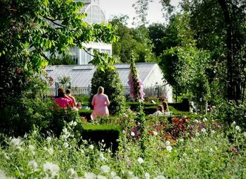 People sitting by potted plants