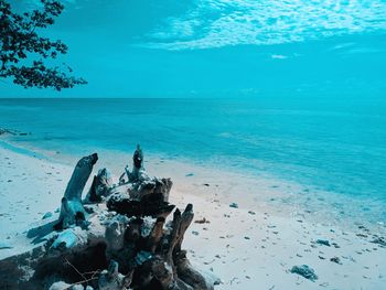 Scenic view of sea against sky