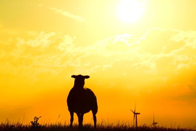 Silhouette horse on field against sky during sunset