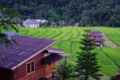 High angle view of houses amidst trees and buildings