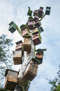 Low angle view of many birdhouse against sky in one tree