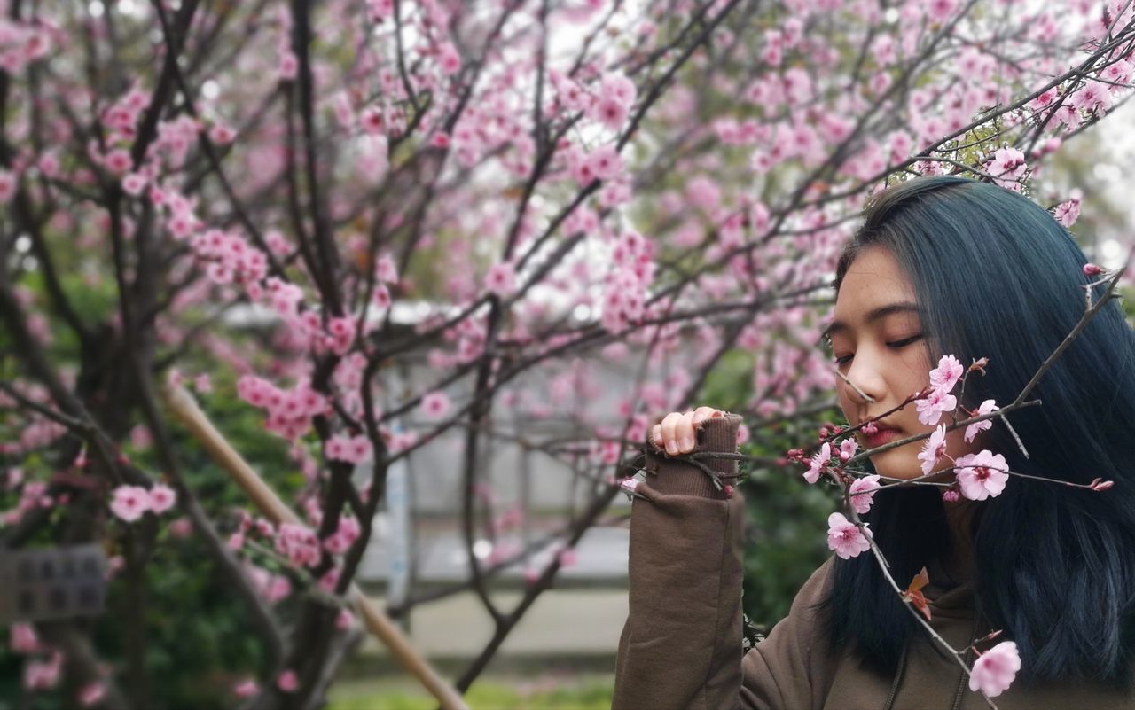 tree, one woman only, women, beauty, only women, young adult, nature, music, adult, beautiful people, arts culture and entertainment, one person, adults only, flower, musical instrument, young women, beauty in nature, people, one young woman only, cherry blossom, outdoors, beautiful woman, violin, charming, violinist, day