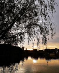 Silhouette tree by lake against sky during sunset