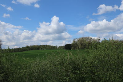 Scenic view of field against sky