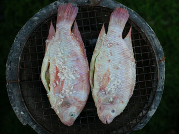 Close-up of seafood on barbecue grill